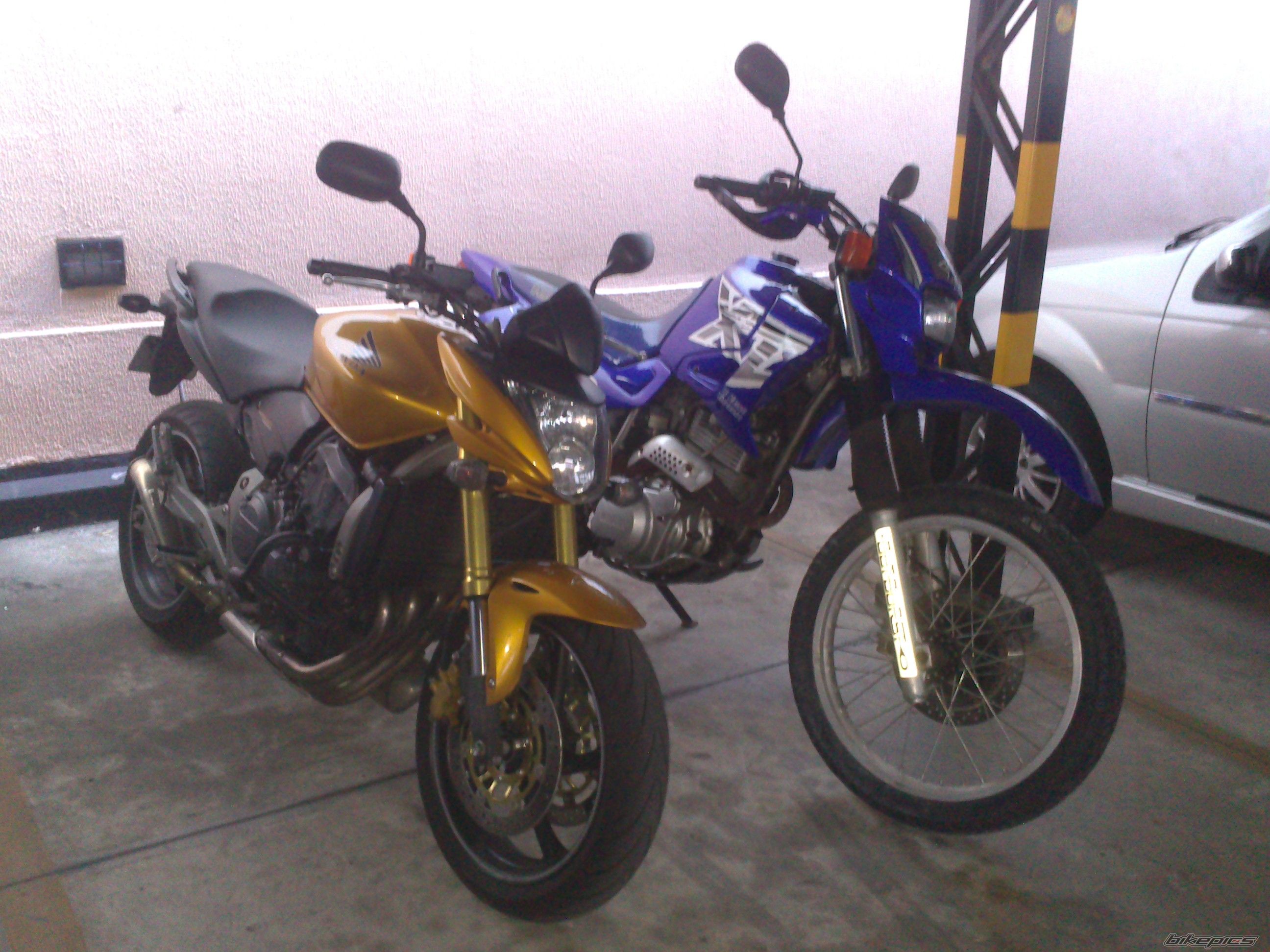Photo 2532817