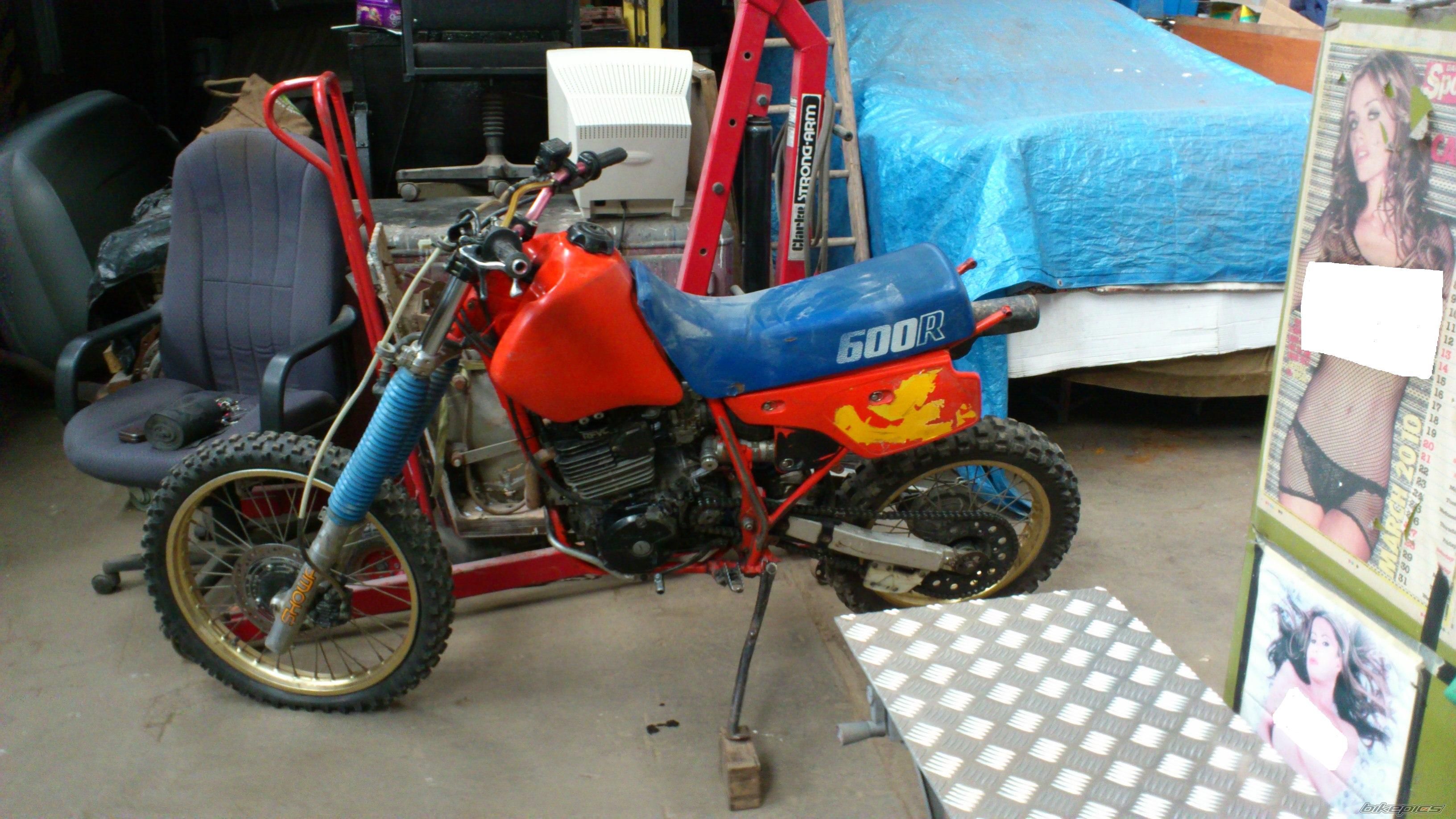 Photo 2532838