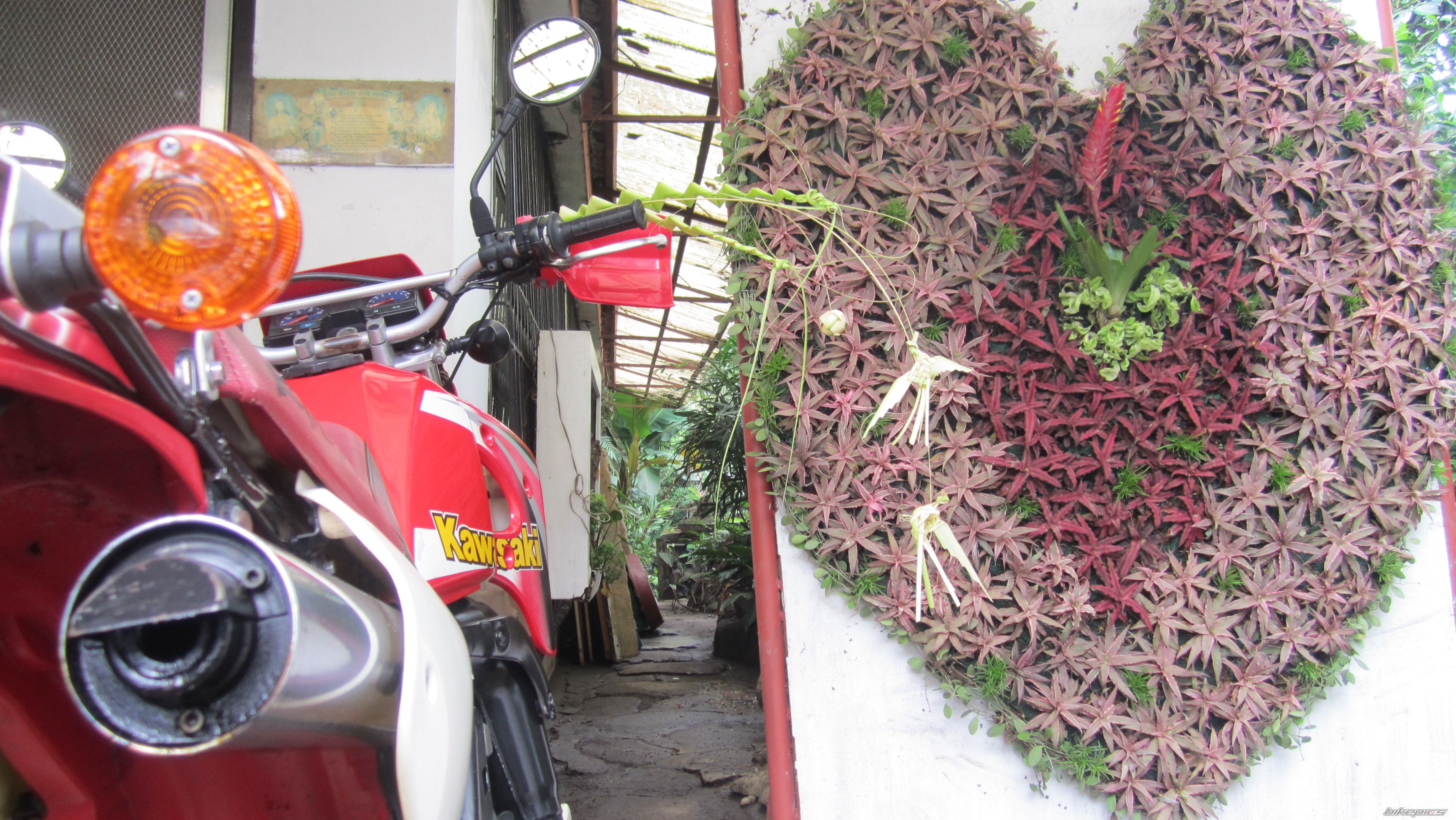 Photo 2532906