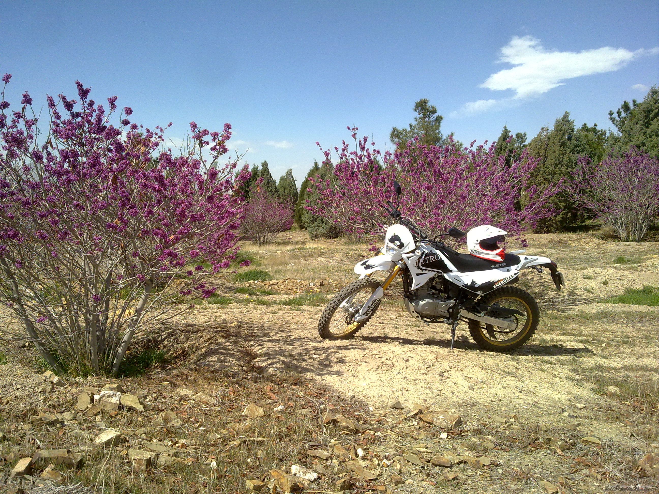 Photo 2532933