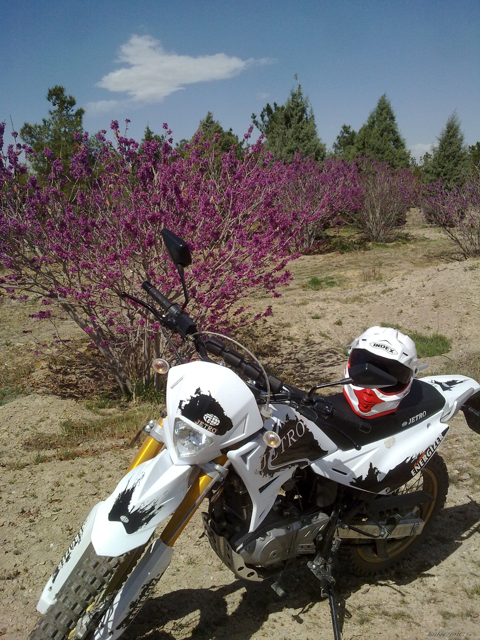 Photo 2532934