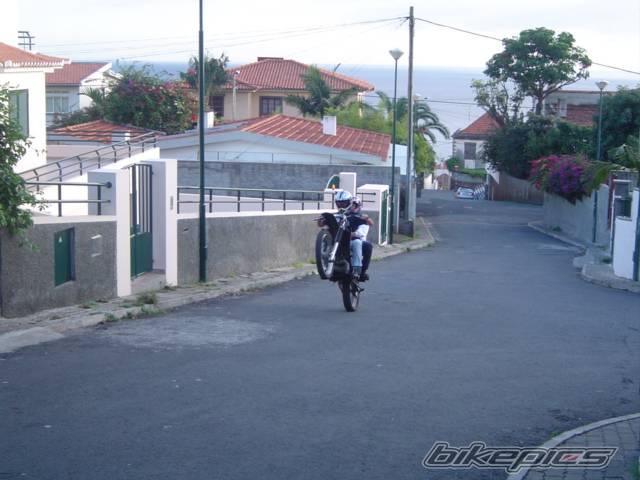 Photo 253298