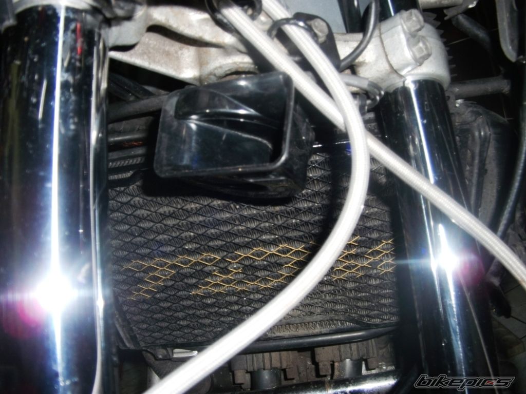 Photo 2533026