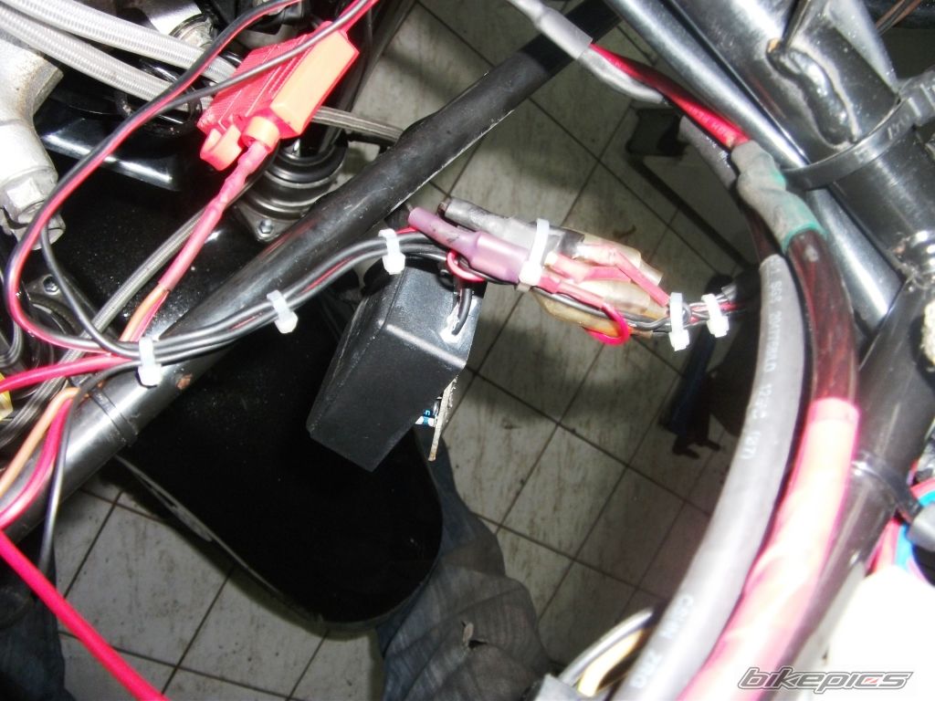 Photo 2533028