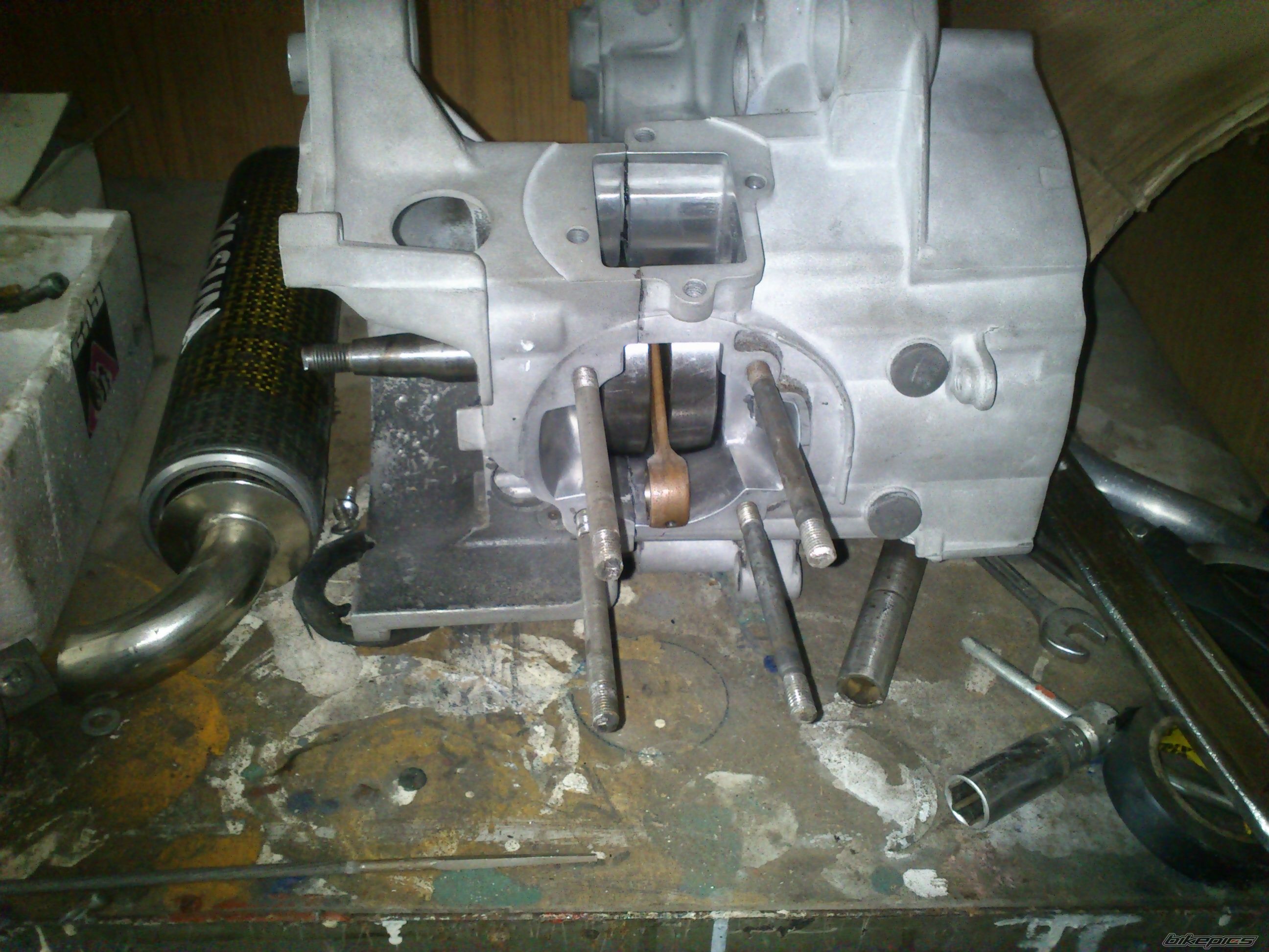 Photo 2533082