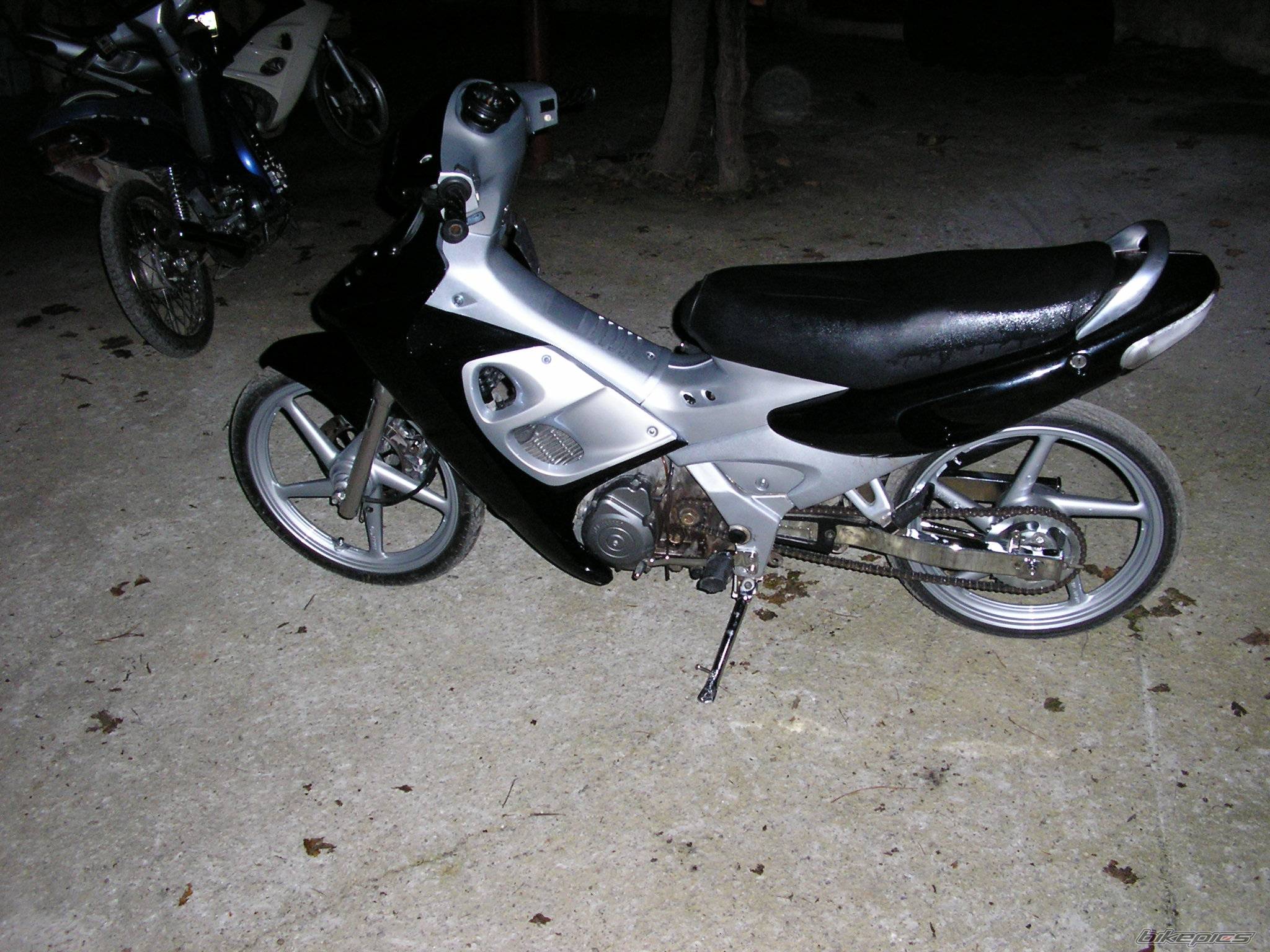 Photo 253318