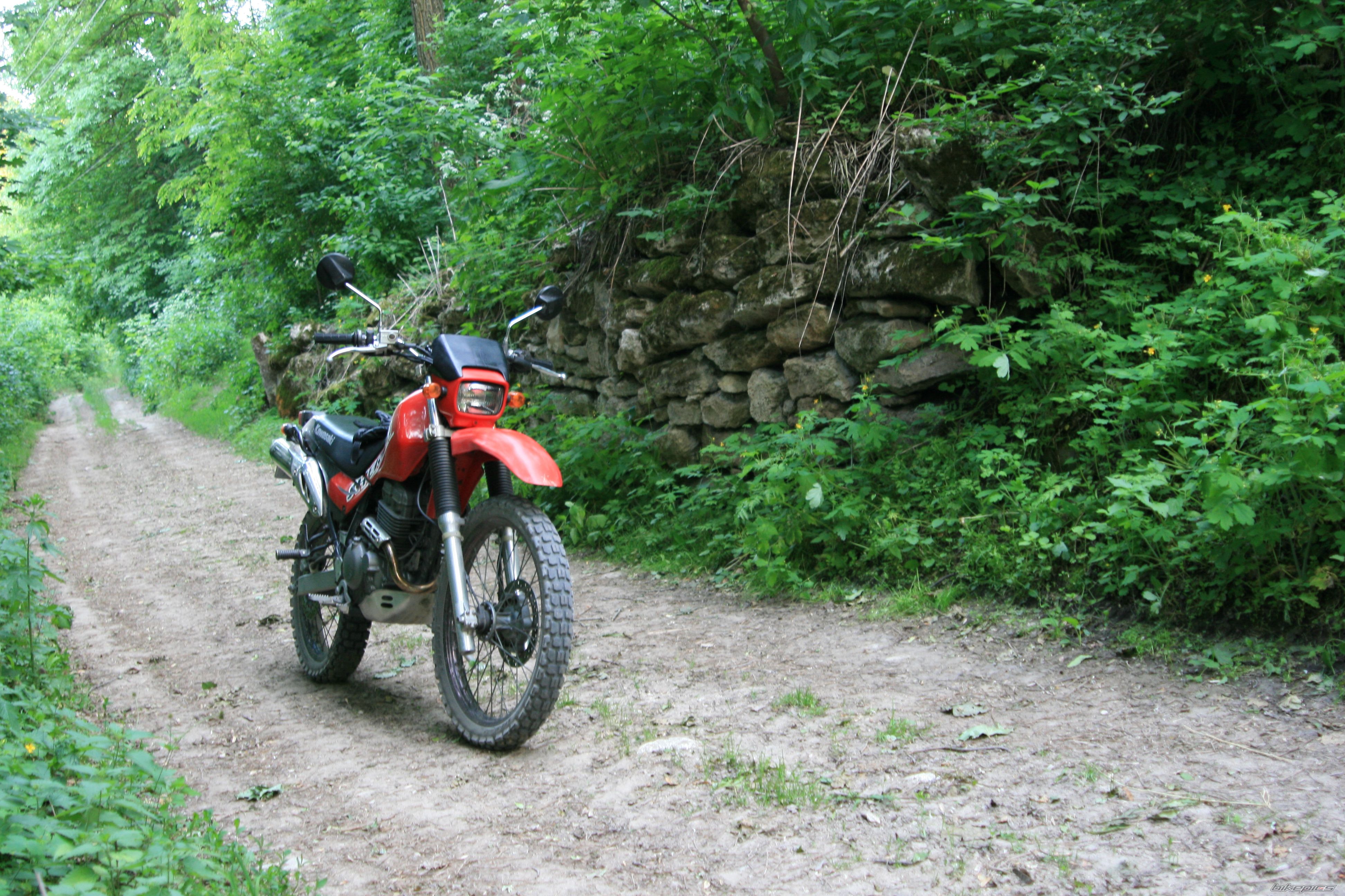 Bike Photo 2533204