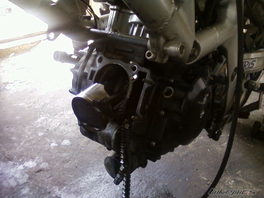 Photo 2533242