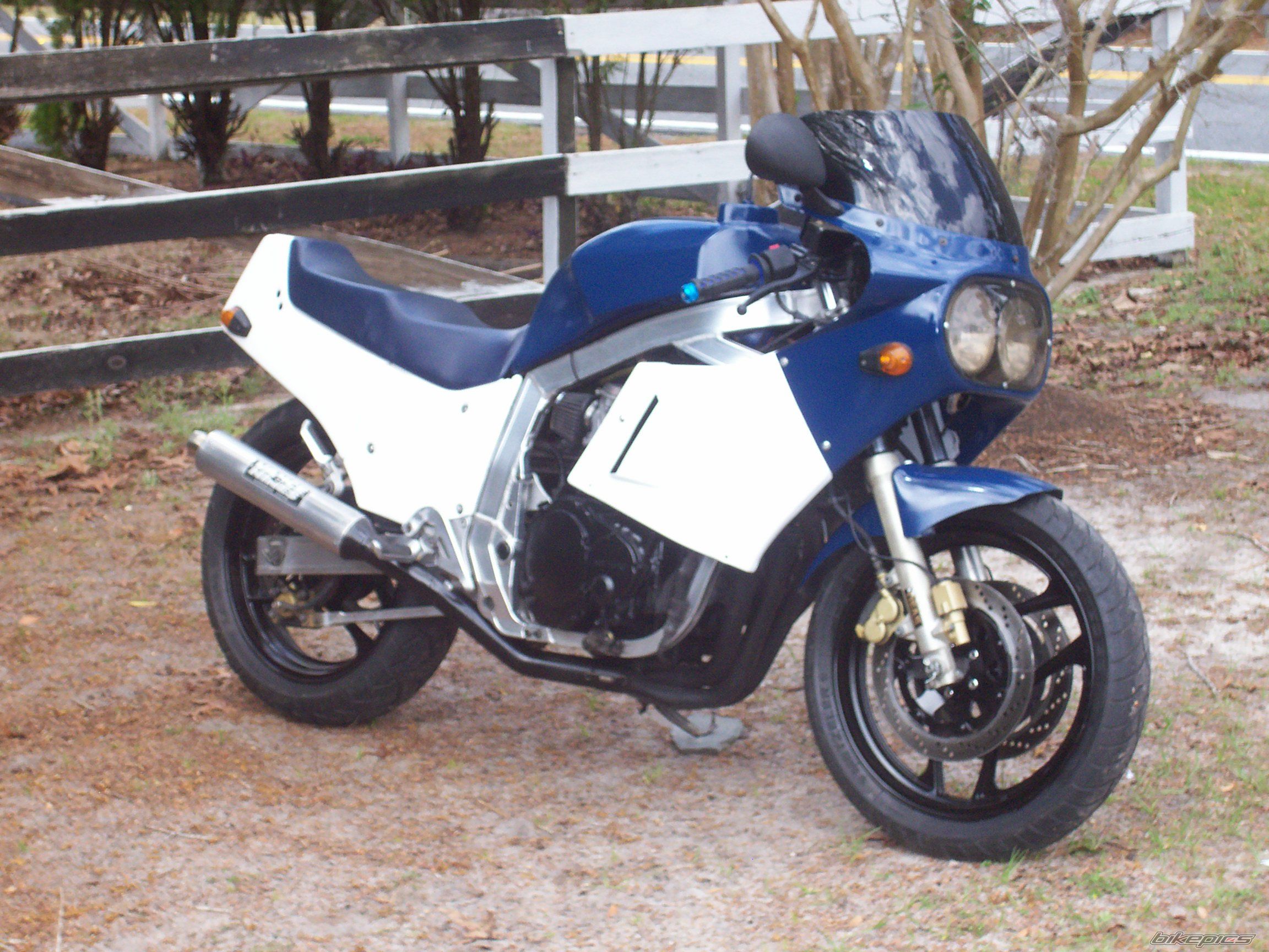 Photo 2533302