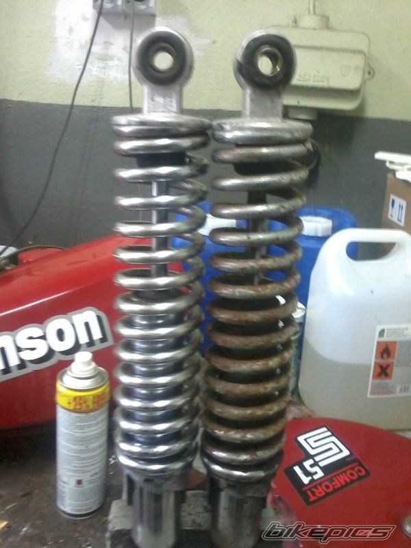 Photo 2533361
