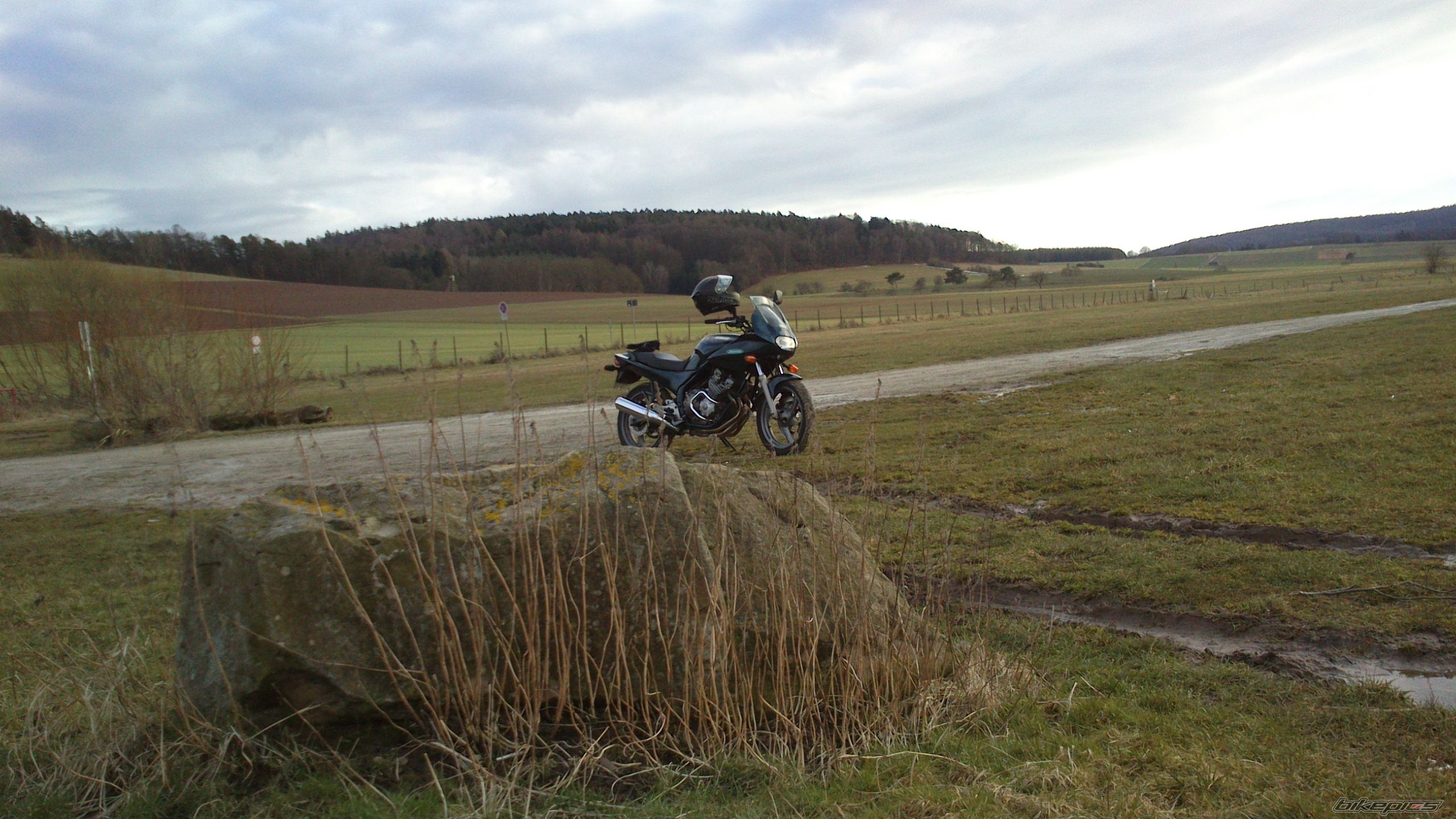 Photo 2533362