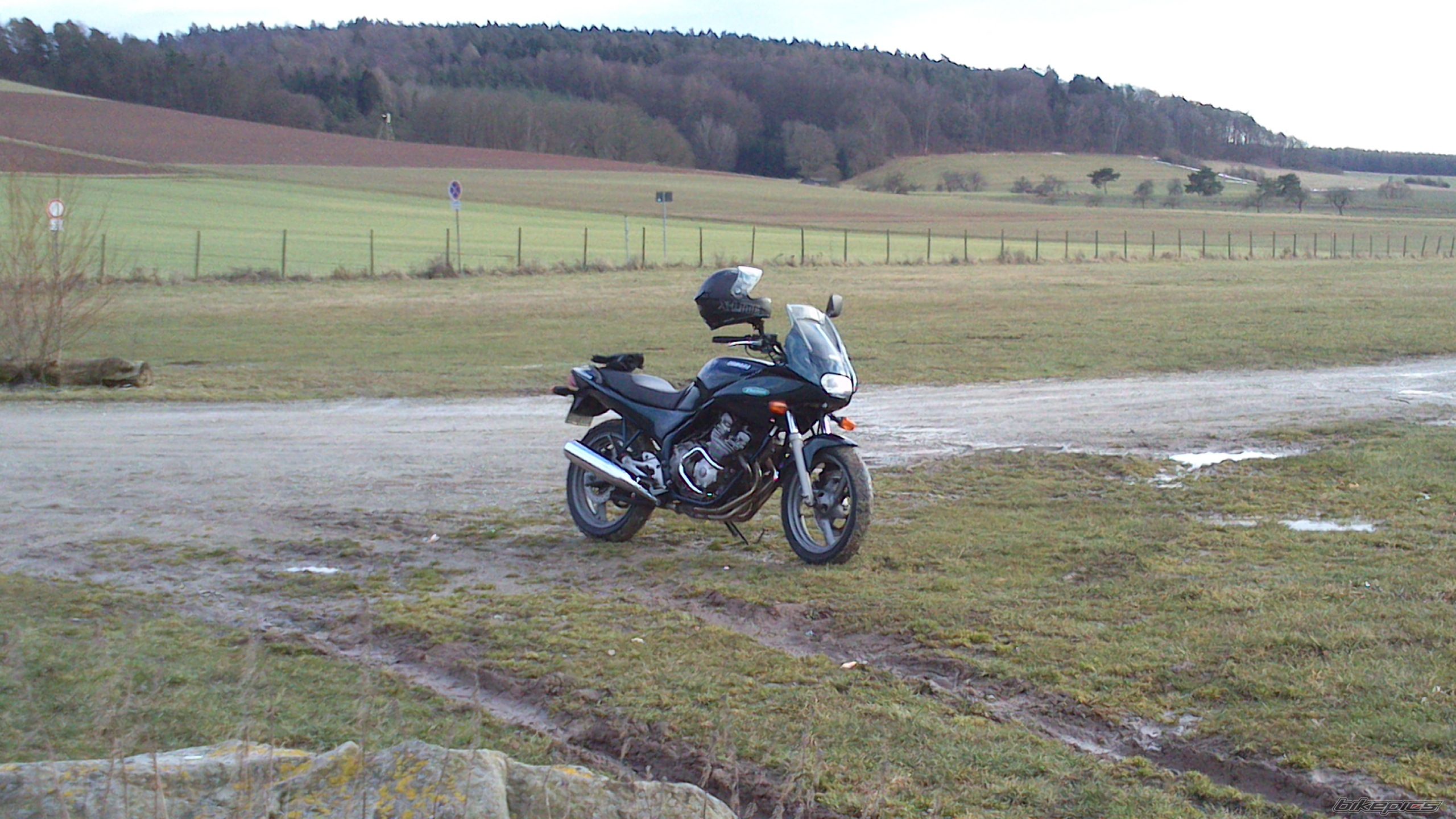 Photo 2533363