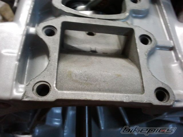 Photo 2533381