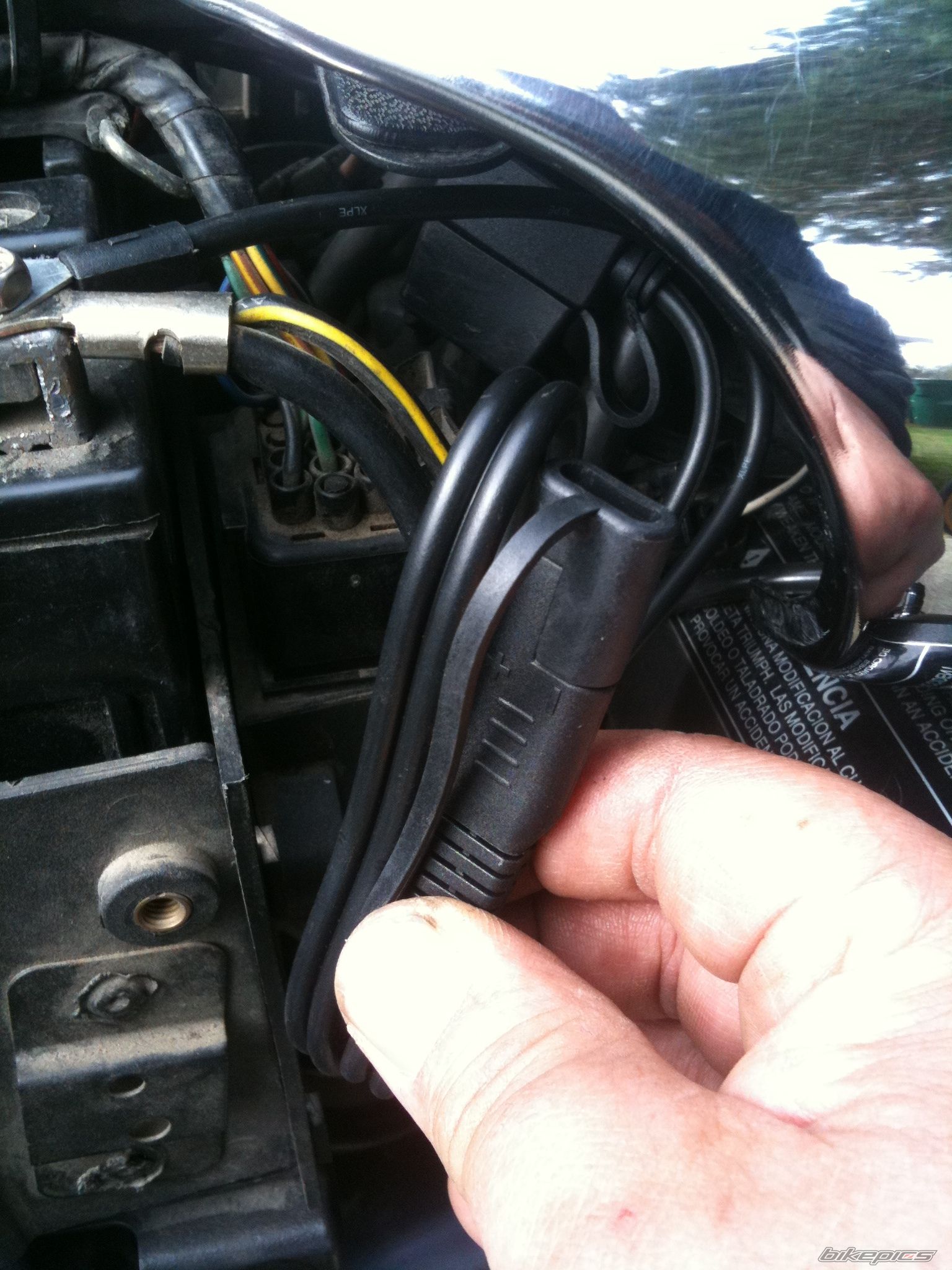 Photo 2533411