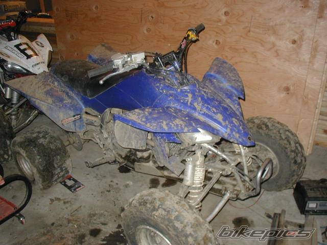 Bike Photo 253342