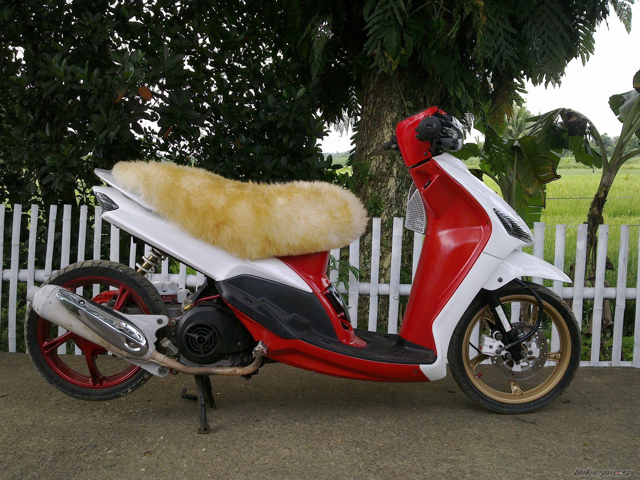 Photo 2533446