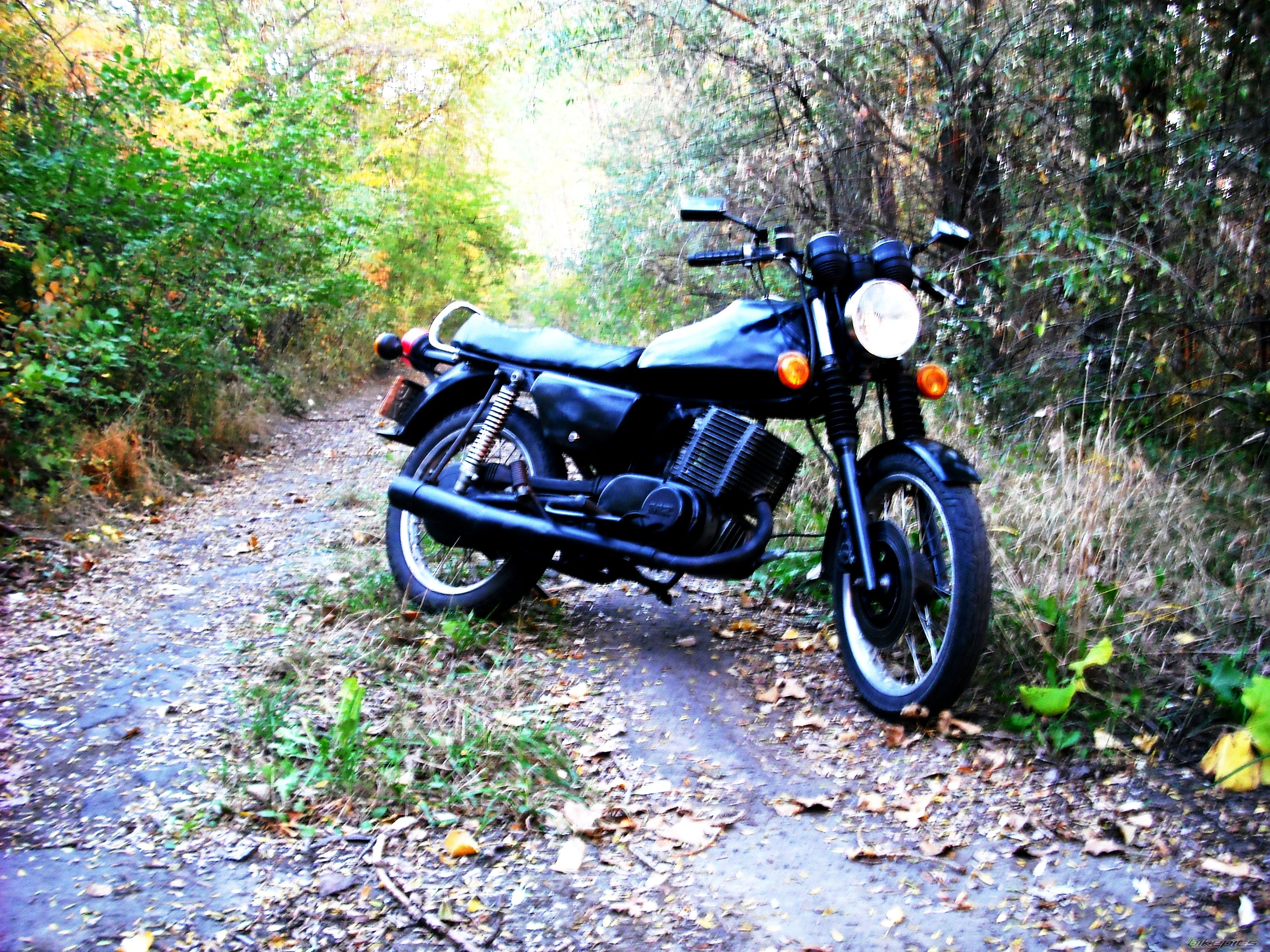 Photo 2533454
