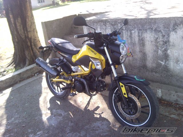 Photo 2533462