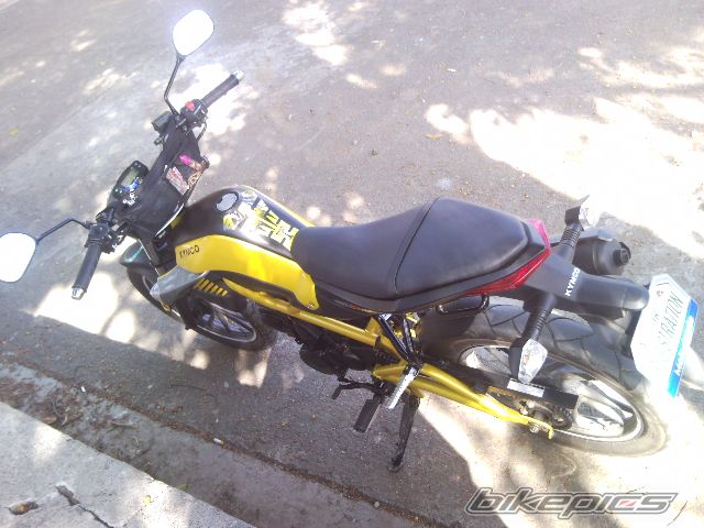 Photo 2533463
