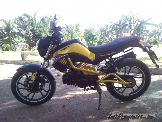 Photo 2533464