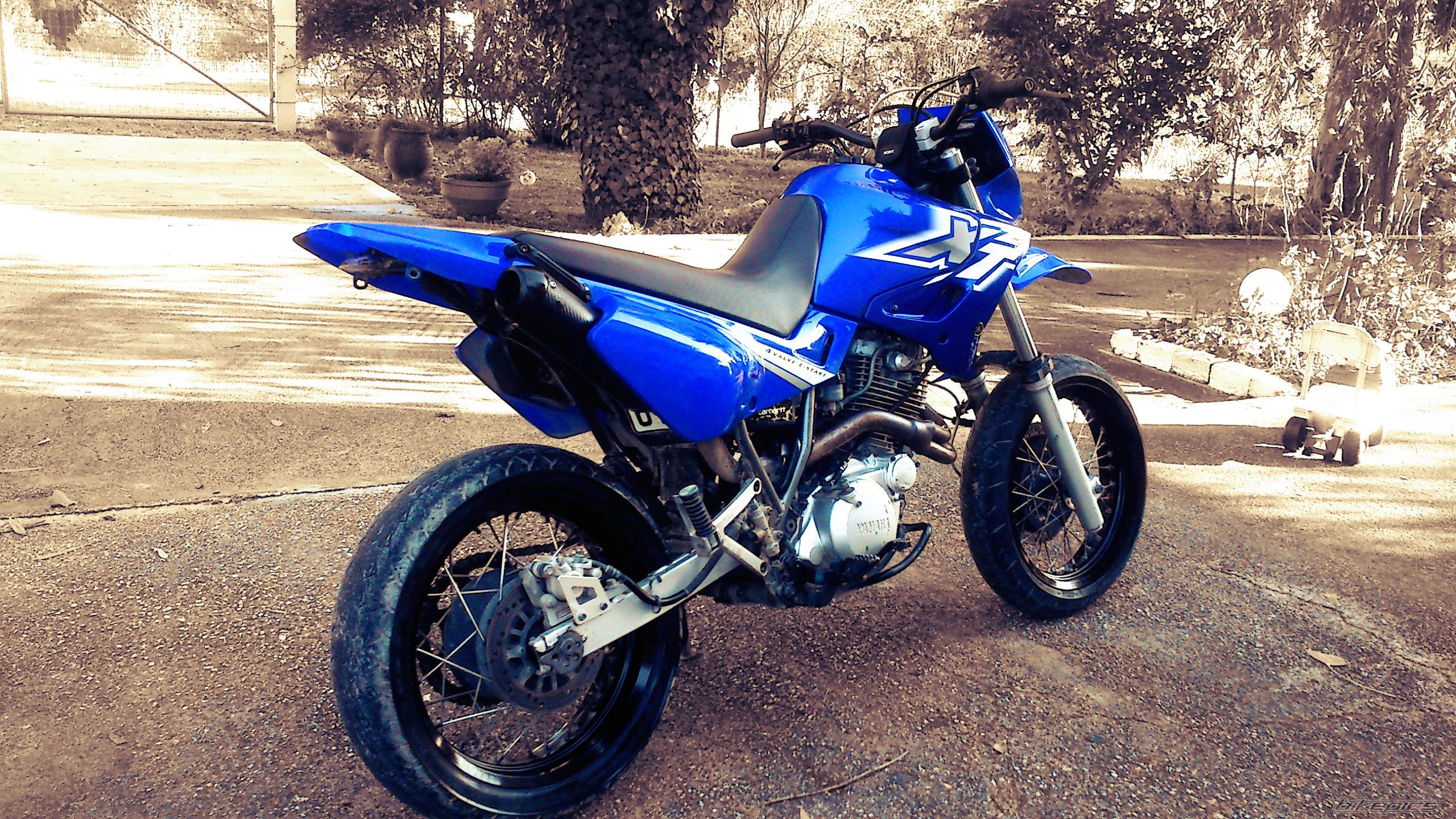Photo 2533558