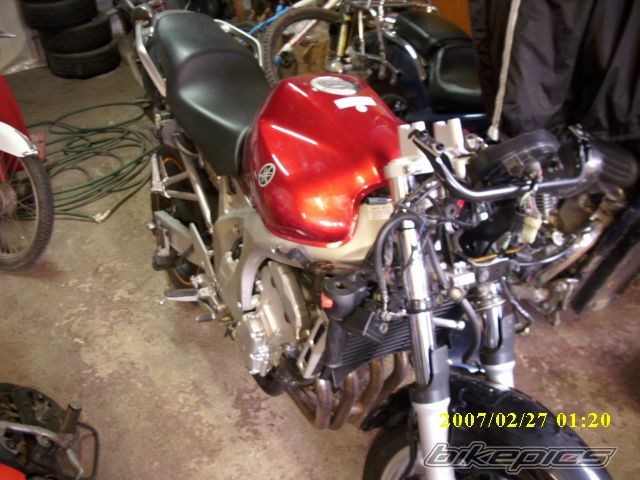 Photo 2533560
