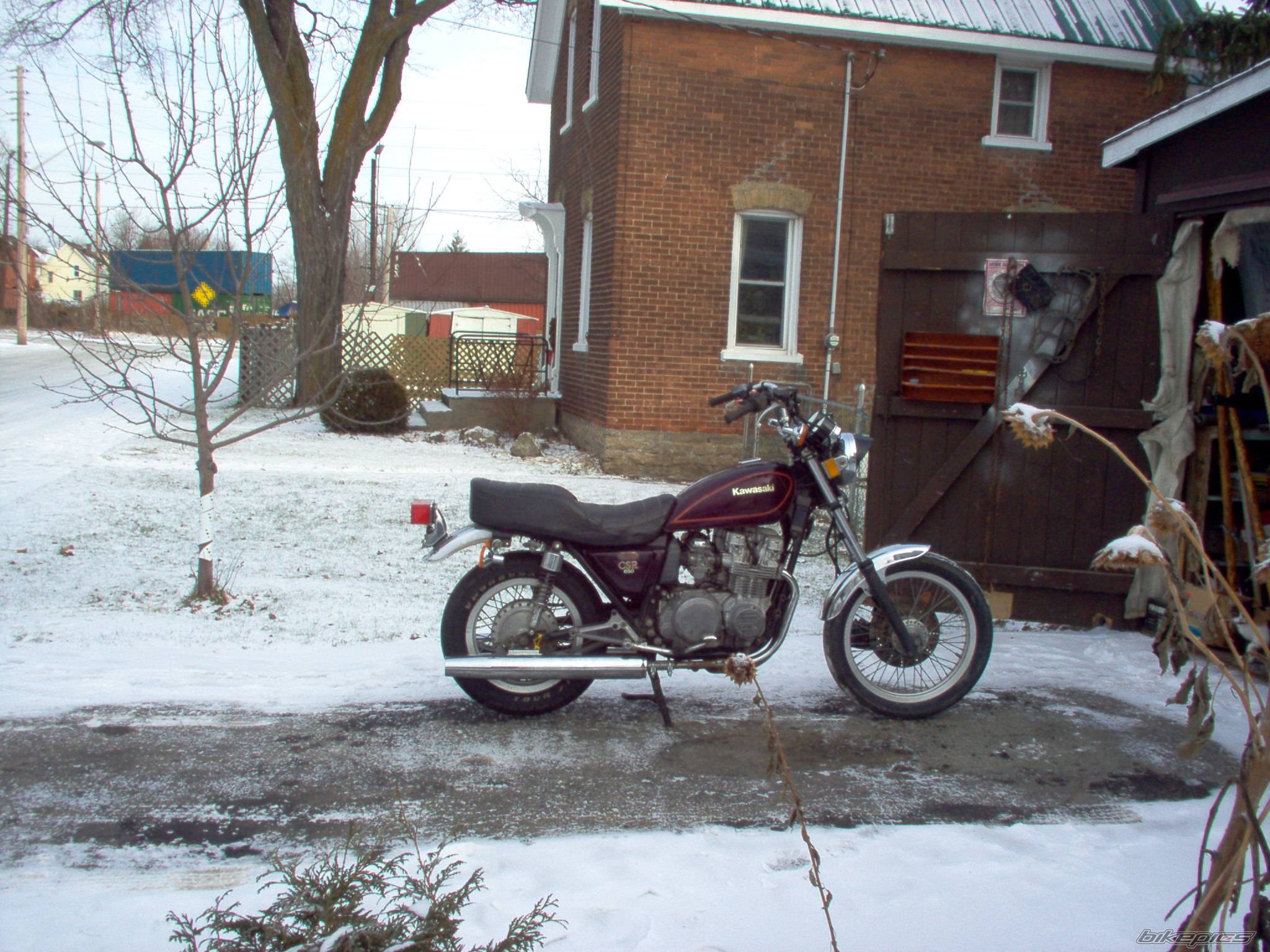Photo 253359