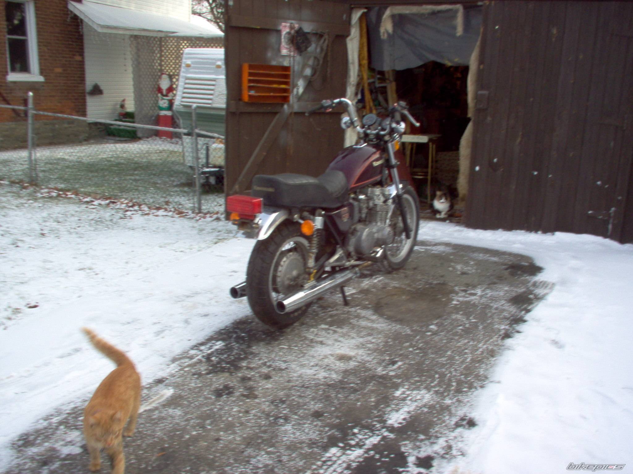 Photo 253360