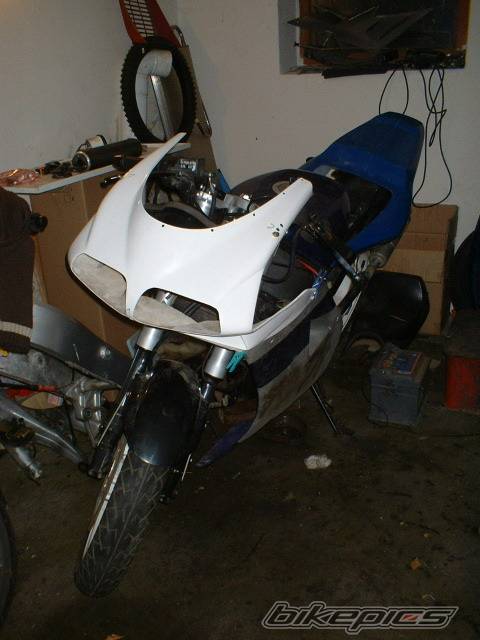 Photo 253381