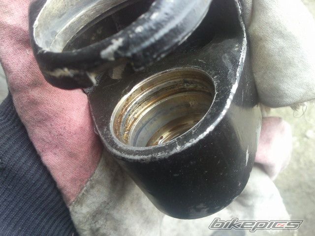 Photo 2533826