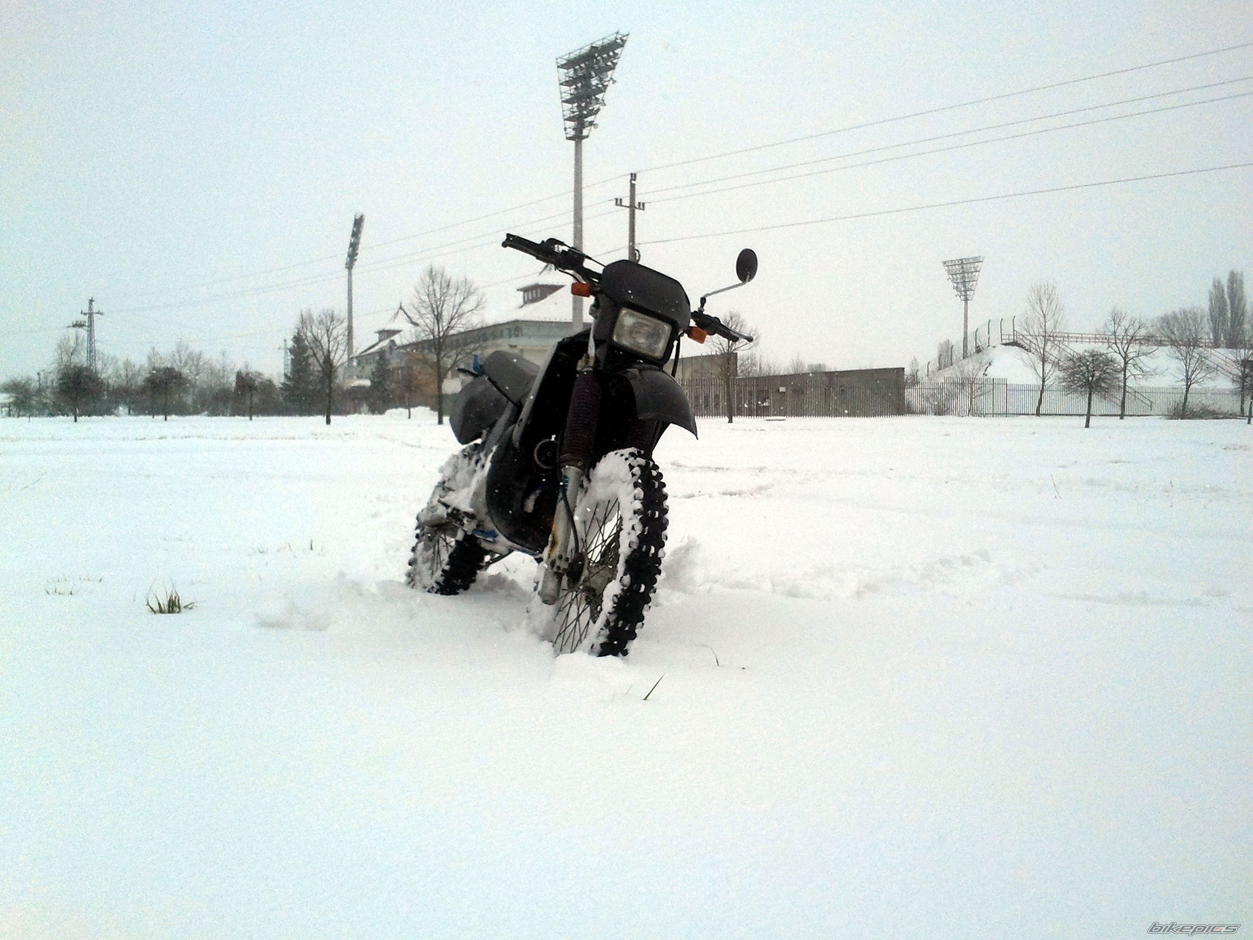 Photo 2533855