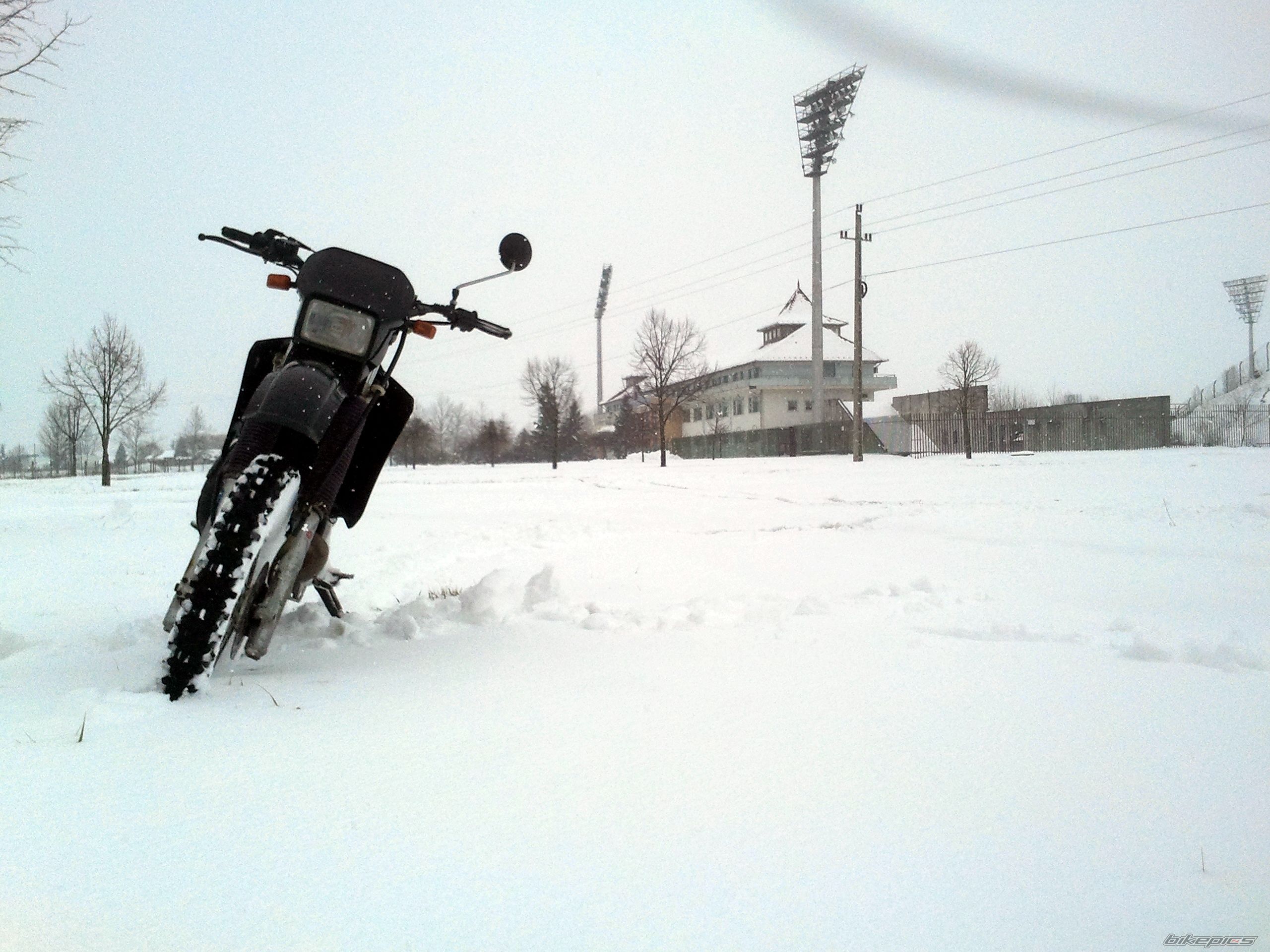 Photo 2533856