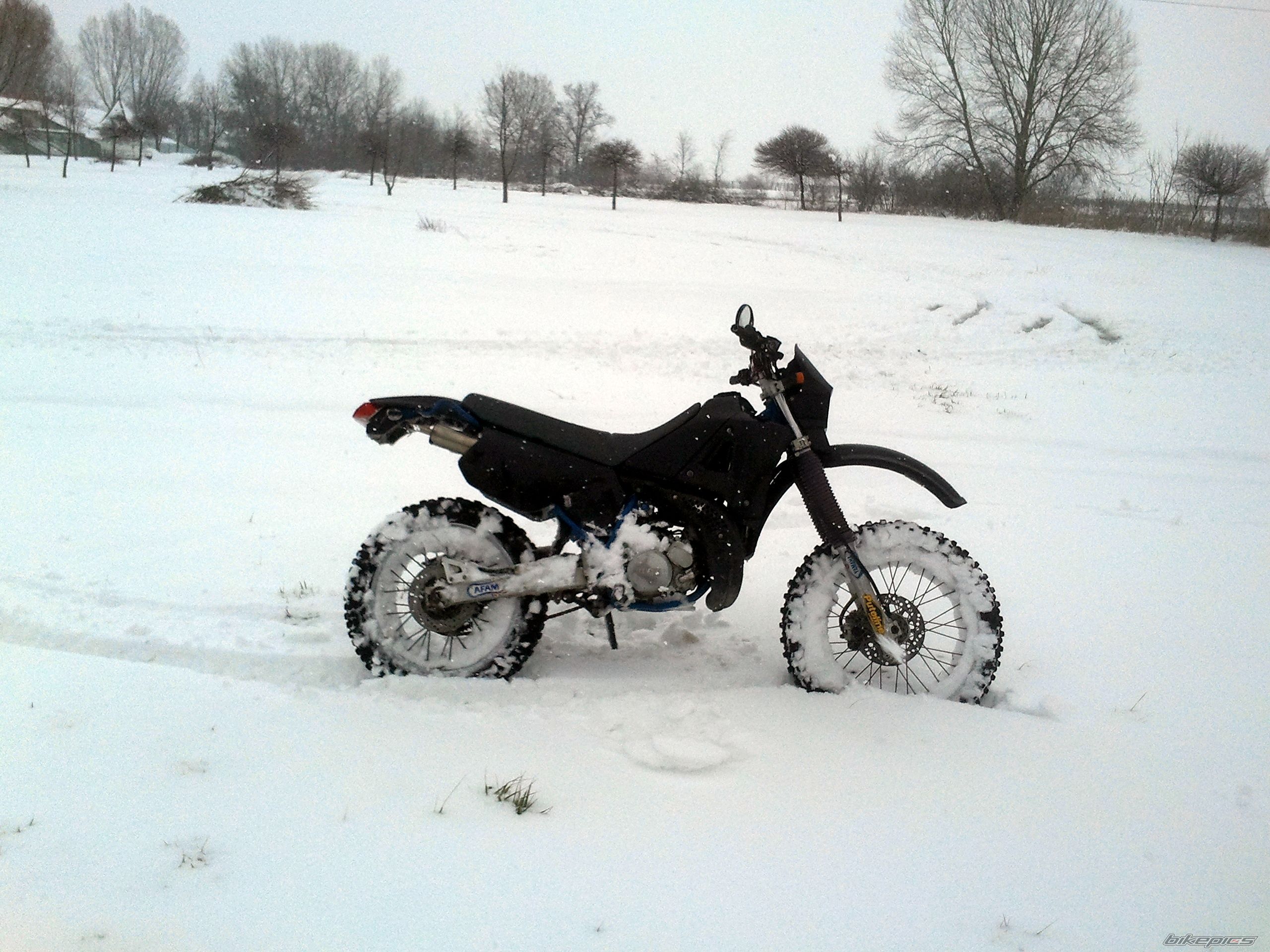 Photo 2533857