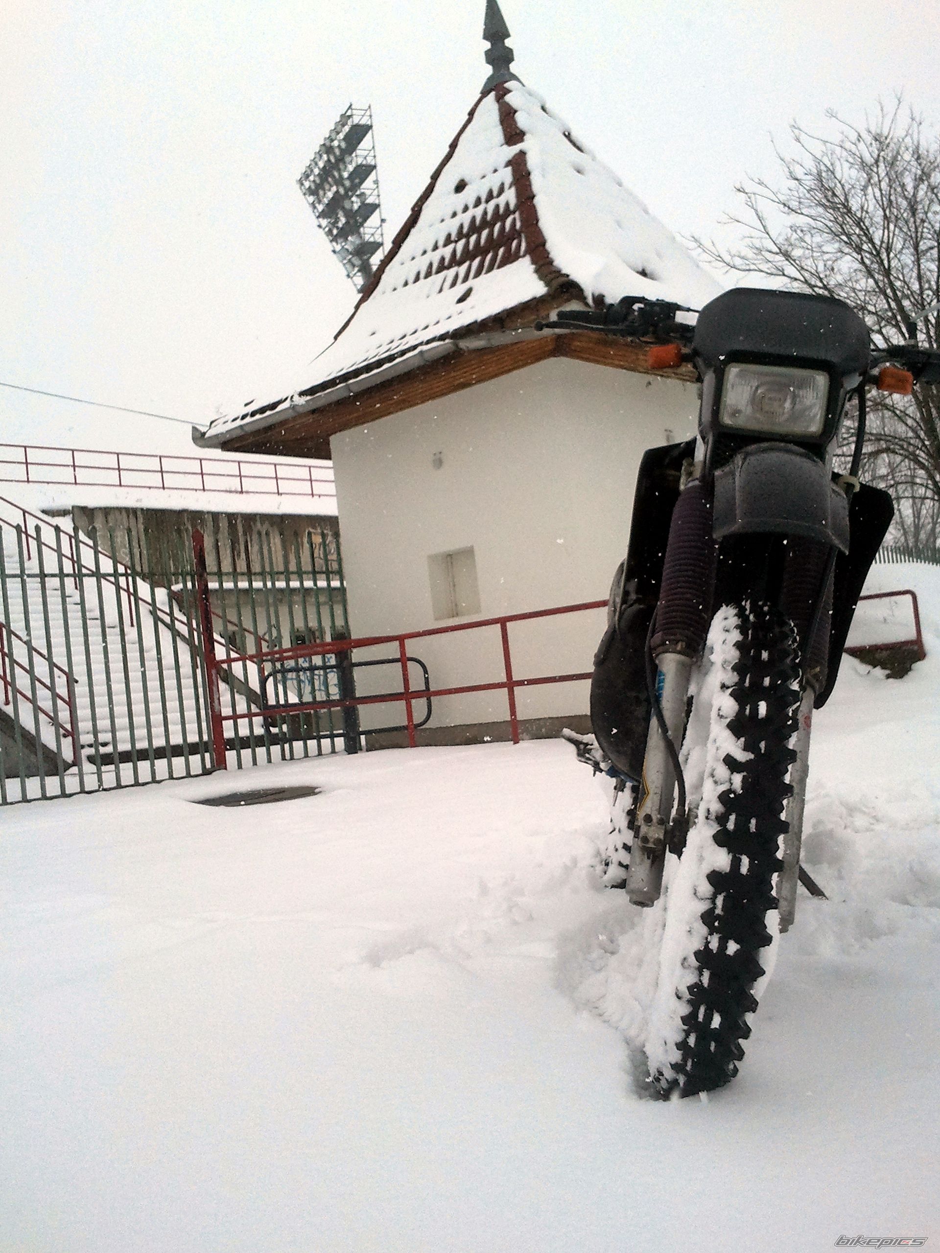 Photo 2533859