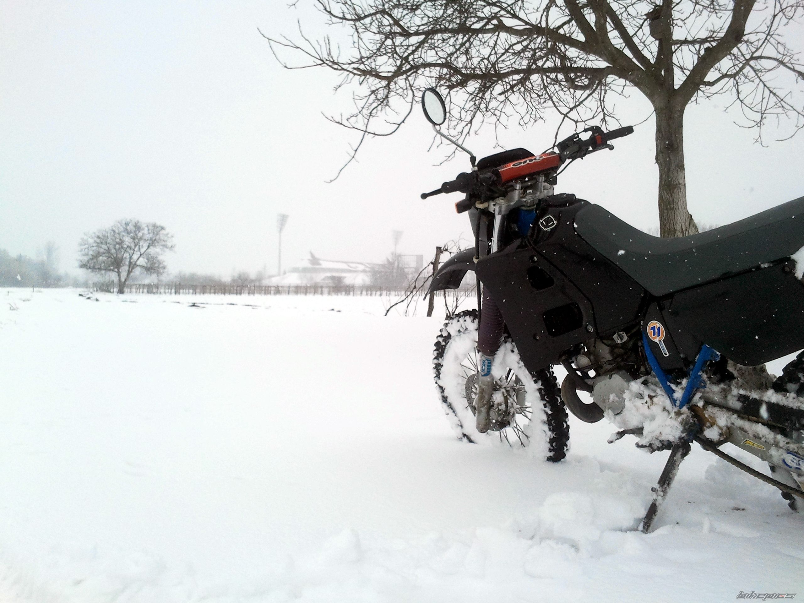 Bike Photo 2533861