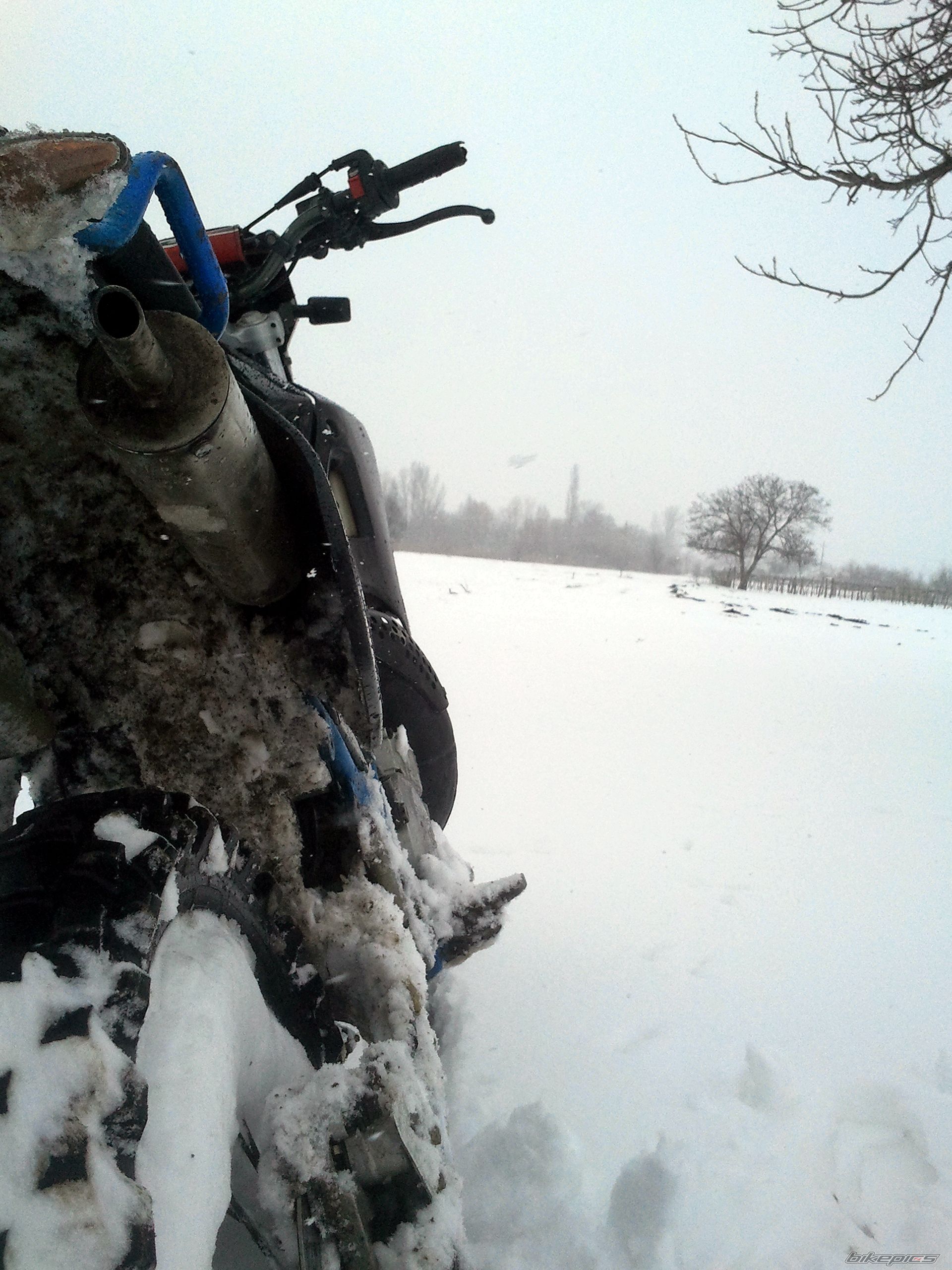 Bike Photo 2533862