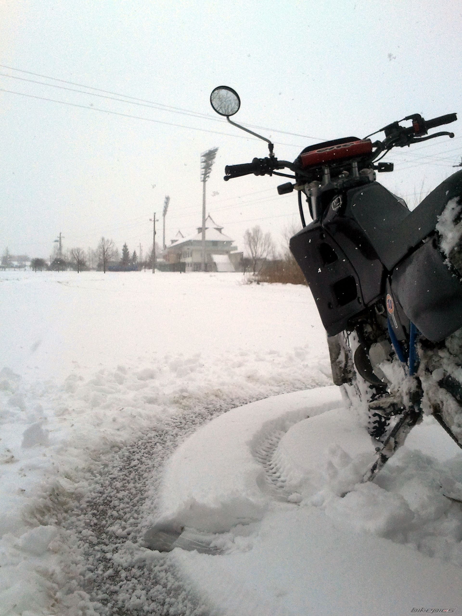 Photo 2533863