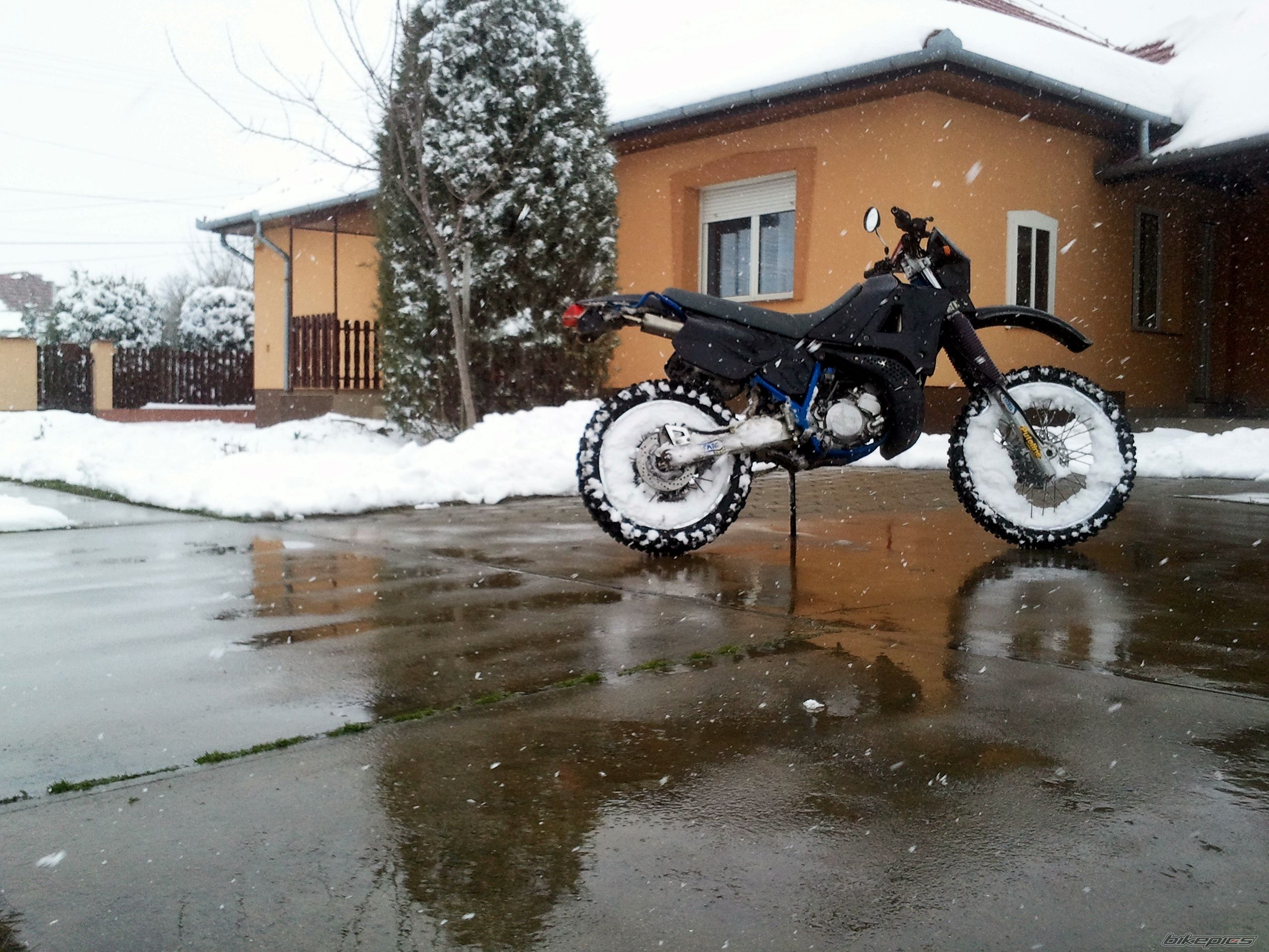 Photo 2533864