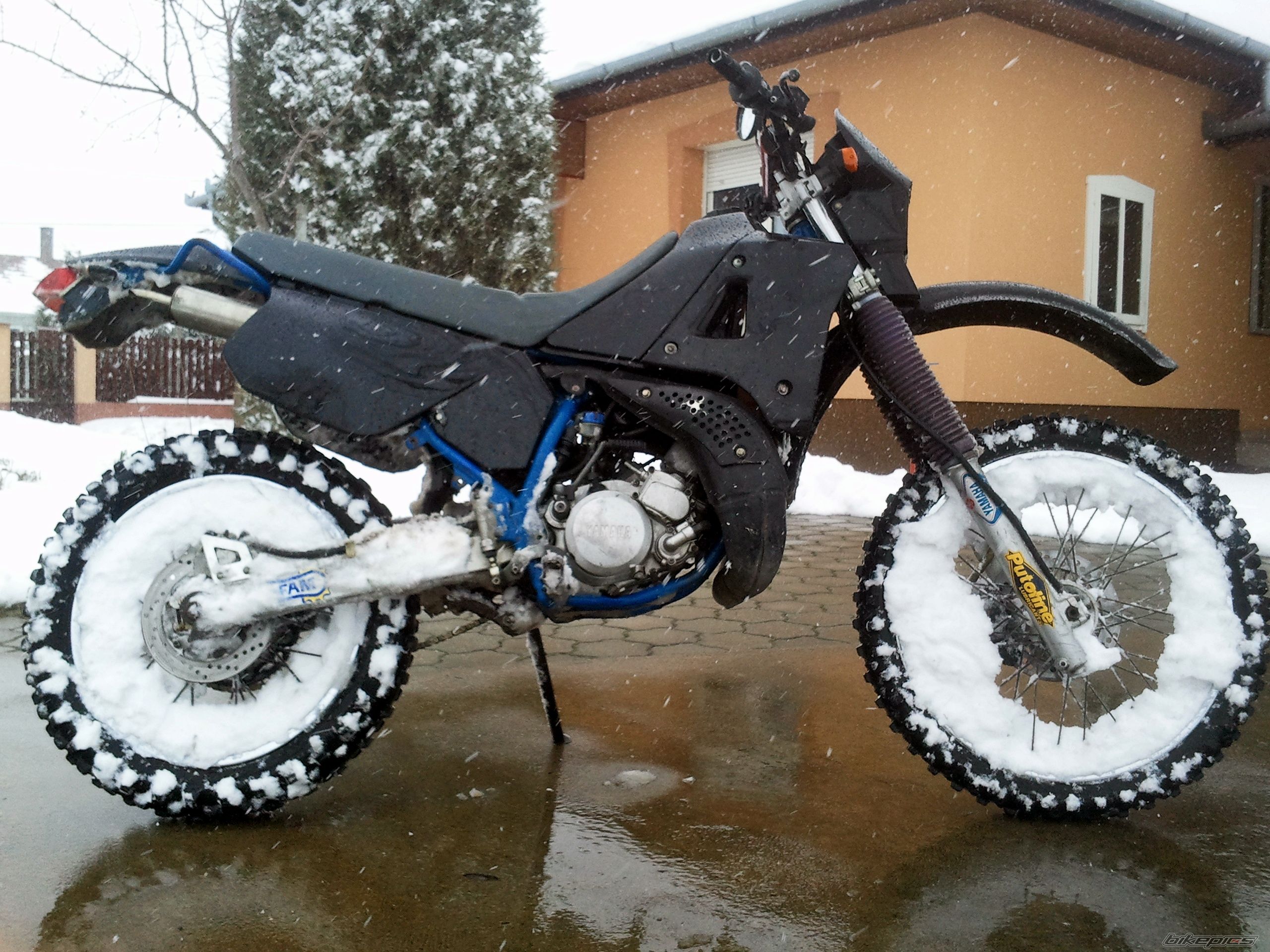 Photo 2533865