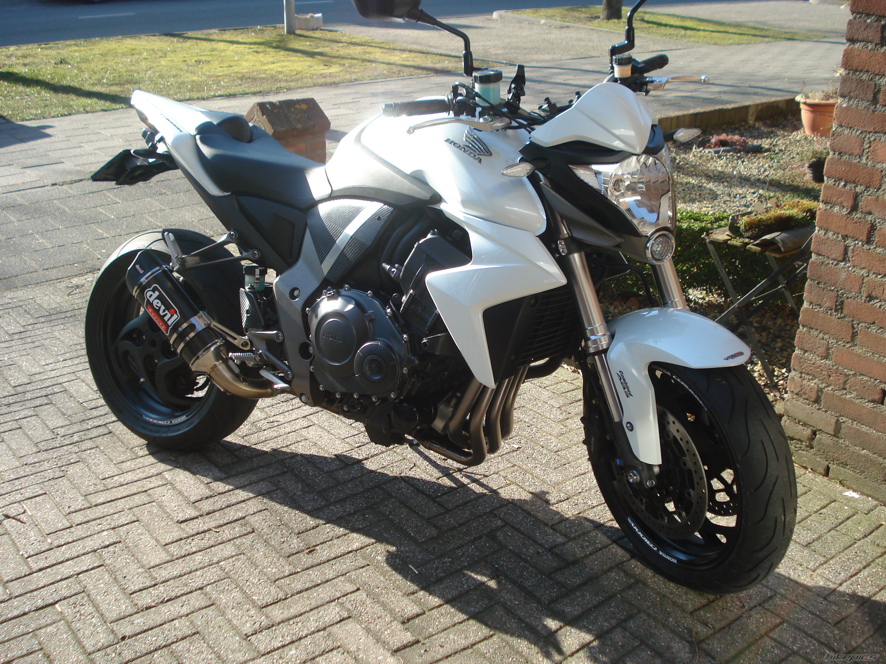 Photo 2533881
