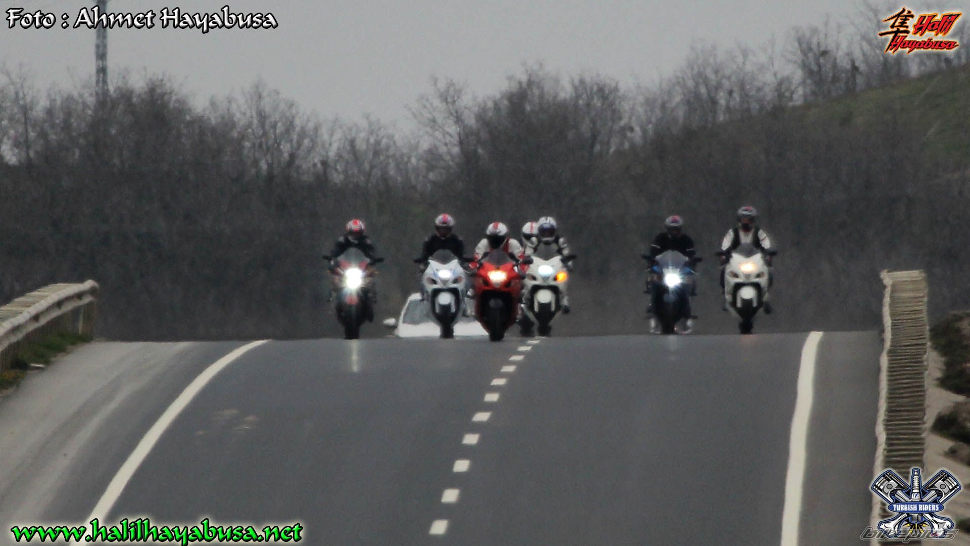 Photo 2533910