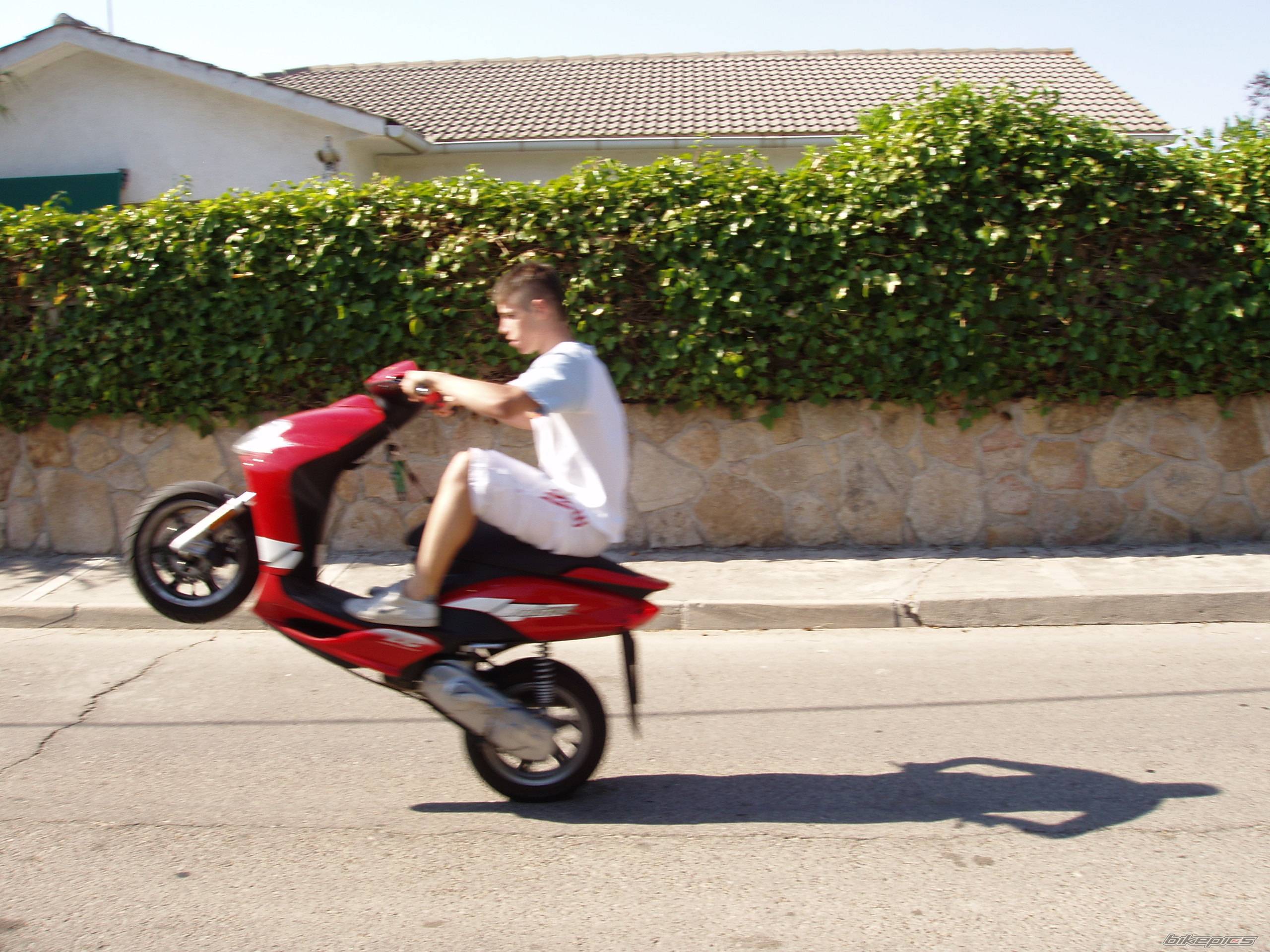 Photo 253392