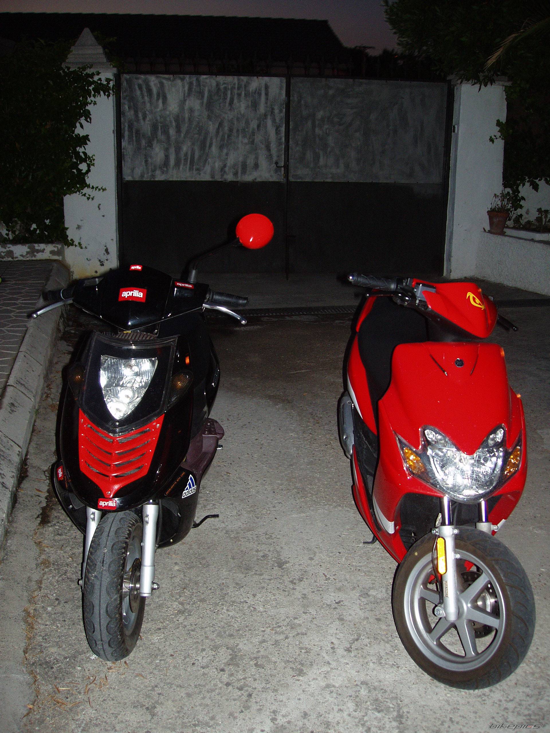 Photo 253394