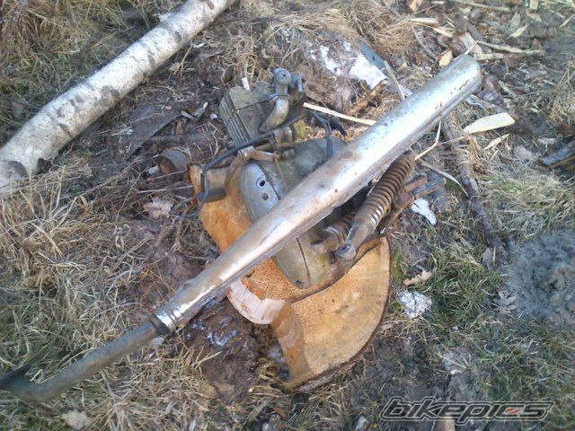 Photo 2533968