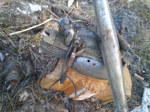 Photo 2533969