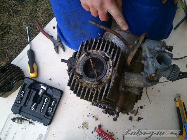 Photo 2533972