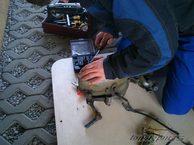 Photo 2533974