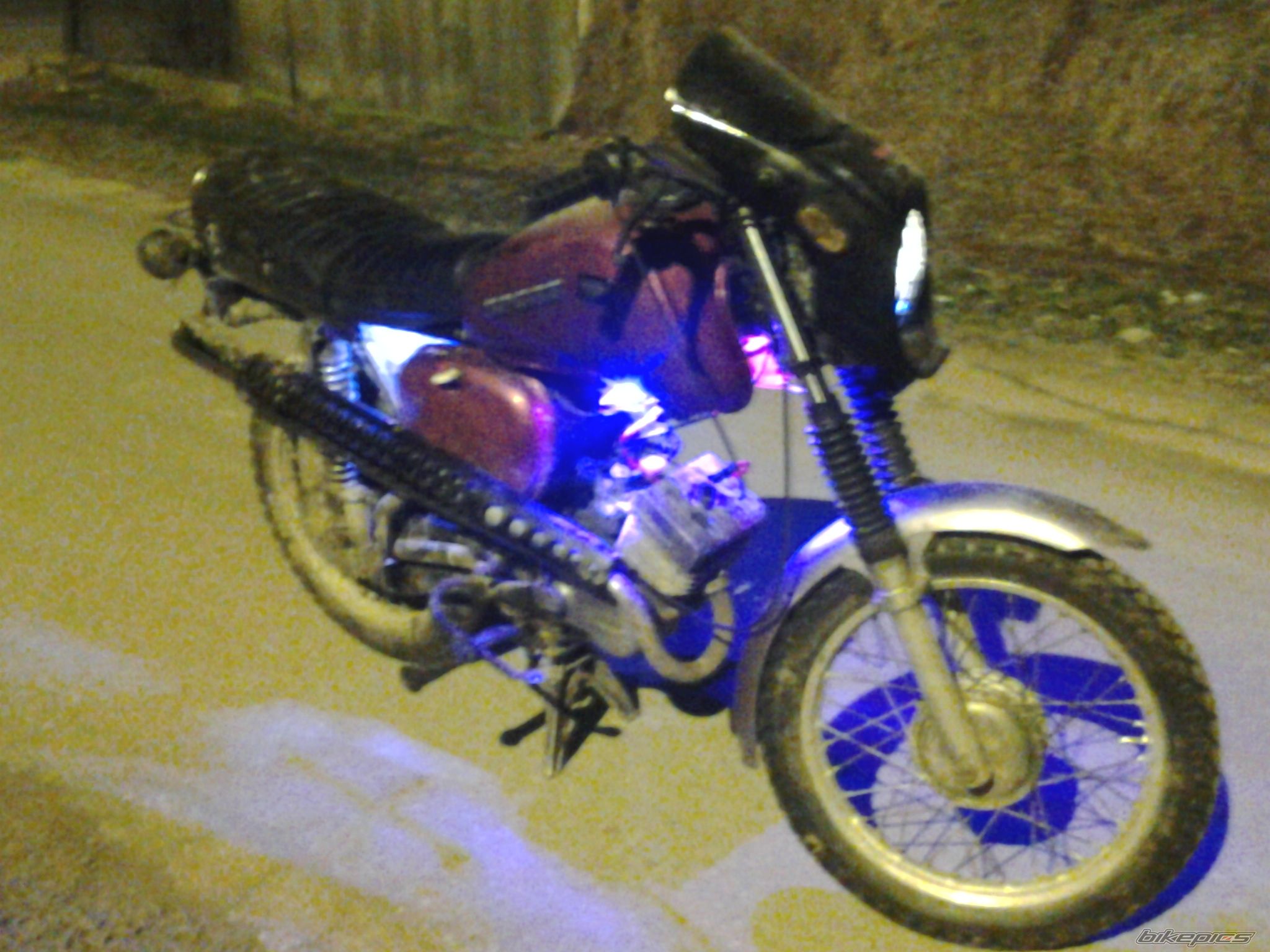 Photo 2534039