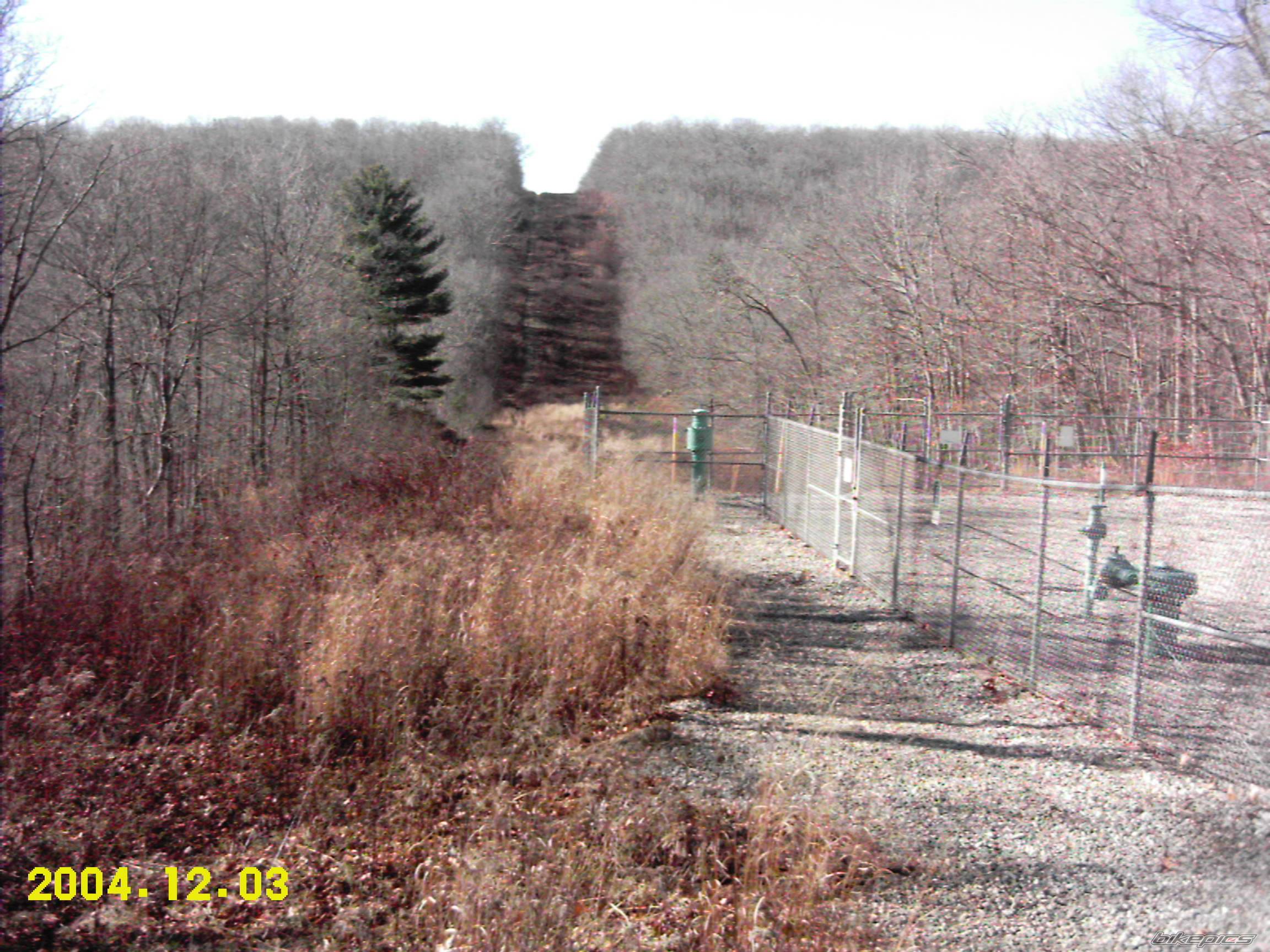 Photo 253404