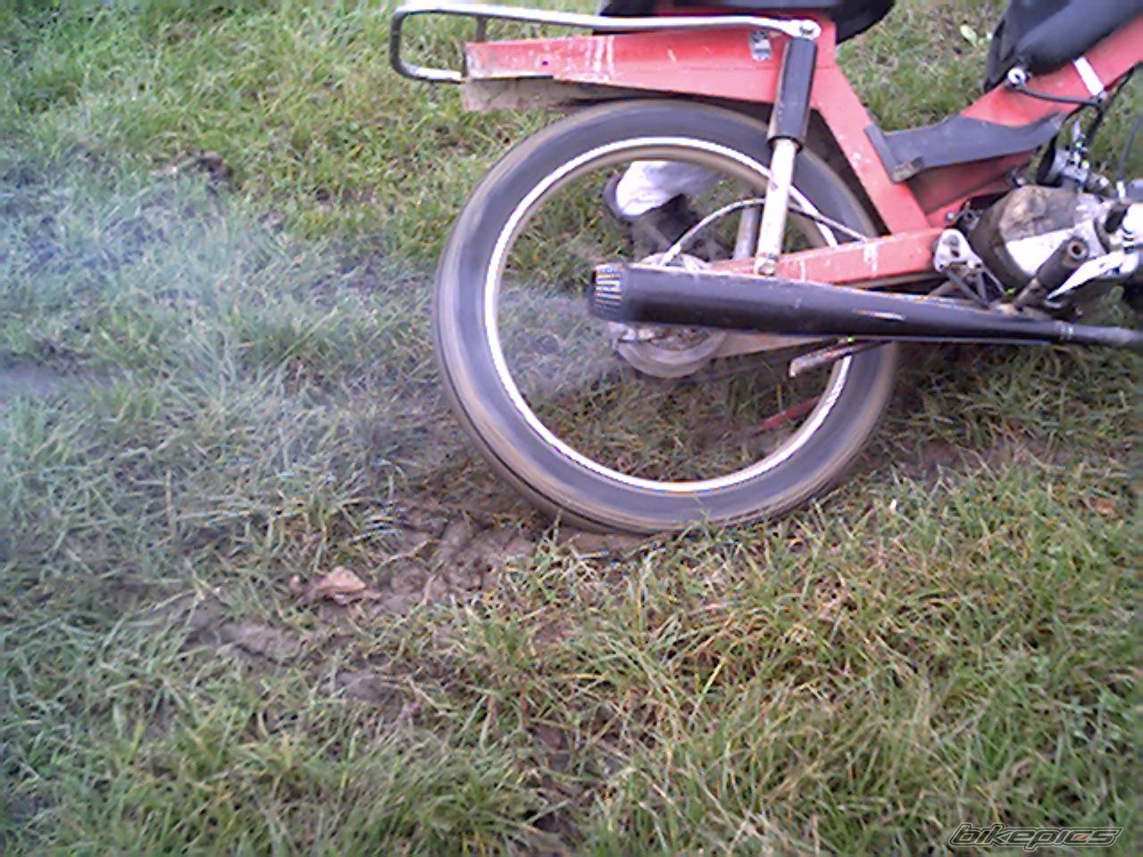 Photo 253405